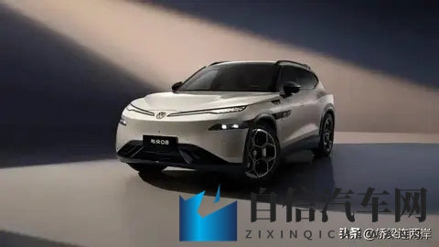 大众金标新车曝光!800V快充+700km续航 卖30万?-2