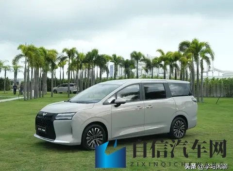 预算10万内可以闭眼入！双独悬 + 续航1100km，大7座MPV，768万起-3