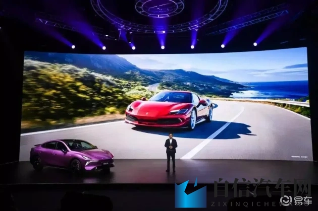 蝌蚪窝一个：探寻神秘蝌蚪栖息地，独特自然奇观一瞥-1