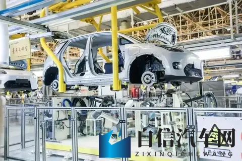 .www.含羞草.com：含羞草官方网站，探索植物奥秘之地-2