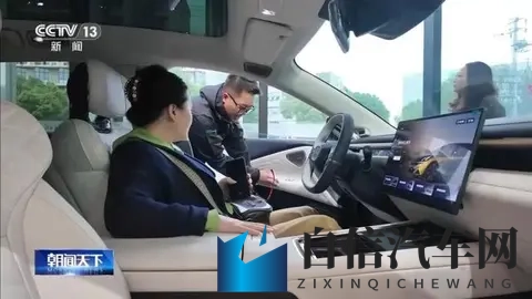 新能源车的“免费午餐”要结束了？别慌，这其实是件大好事！-2