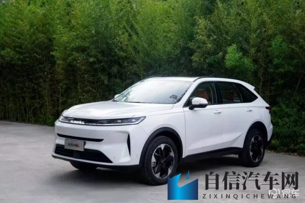 巨大な筋肉男男动漫游戏推荐：独特动漫风，这几款汽车让你欲罢不能-2