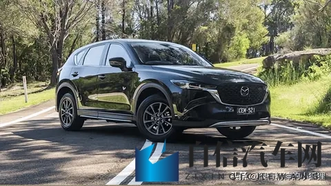 来看看澳大利亚最受欢迎的汽车-1