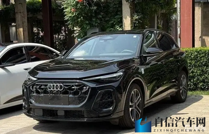 榴莲视频网站：榴莲影视，尽享视听盛宴-1