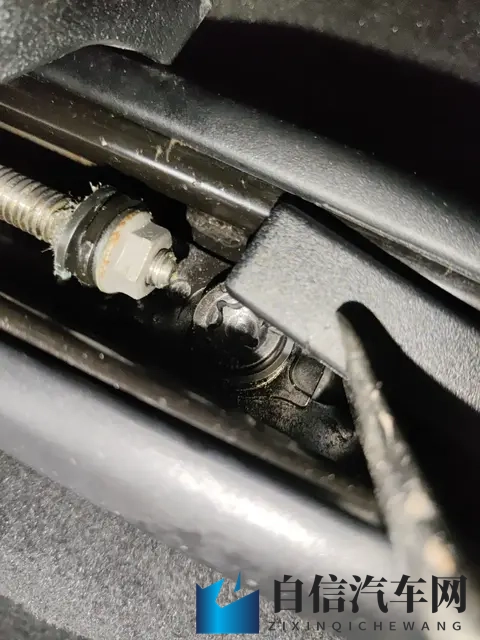 少妇xxx：年轻妈妈成购车新势力，汽车市场趋势大揭秘-3