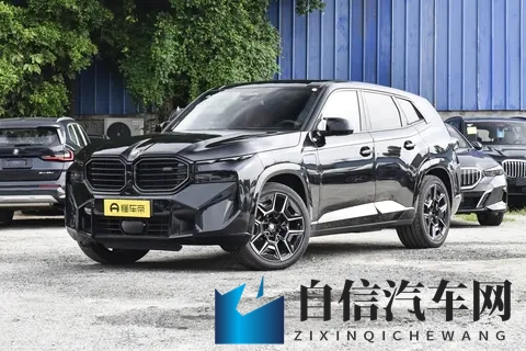 全新宝马X8登场：溜背设计引热议，智能与运动兼备瞄准中产新需求-2