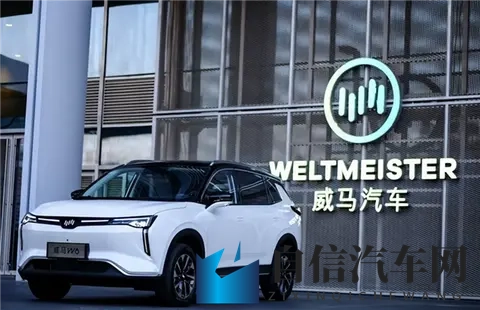 91黑:网络热议:揭秘“91黑”事件真相-2