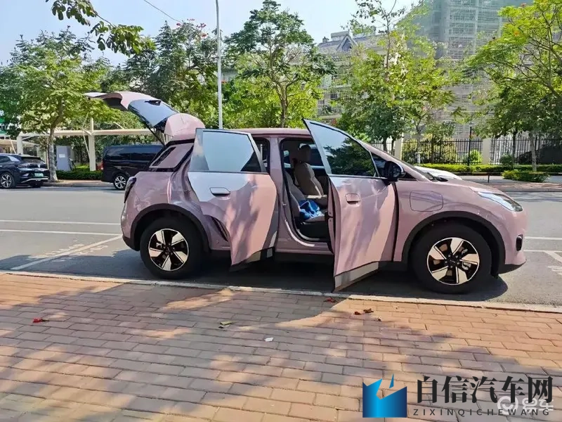 猫咪社区：宠物乐园里的猫咪家园-2