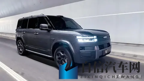 成欢阁：新能源汽车亮相，豪华智能车型等你来赏-2