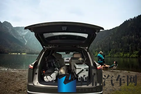 乐道L90:大中型纯电SUV,六_七座可选,30万级值得买吗?-3