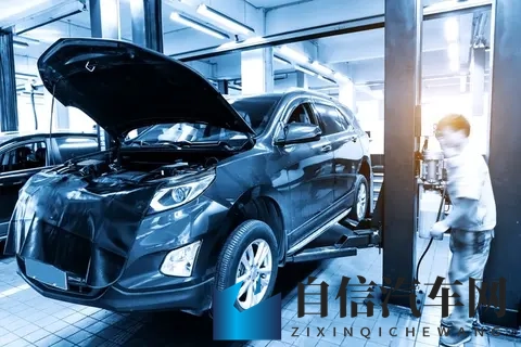 ass富婆肉体dyis浓密荫毛：性感富婆私密部位引人瞩目-2