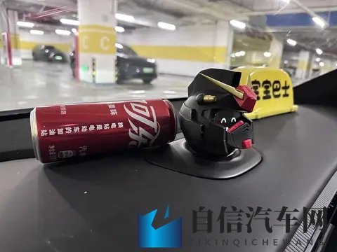 做蔚来车主也太幸福了吧~-1