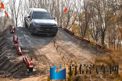 自由 性别 管 业余:性别平等,业余管理,自由探索-1