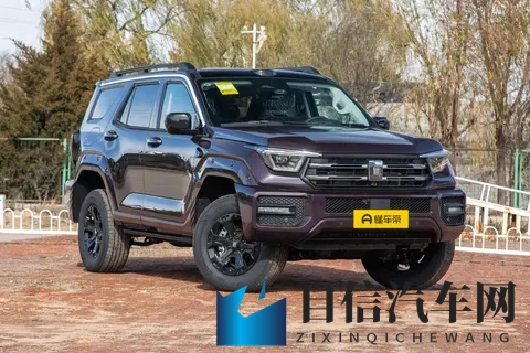 二手坦克400 Hi4 T保姆级选购指南-1