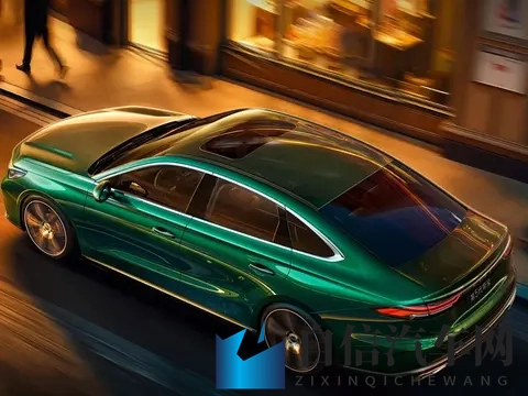 害羞草网站：含羞草信息平台-2