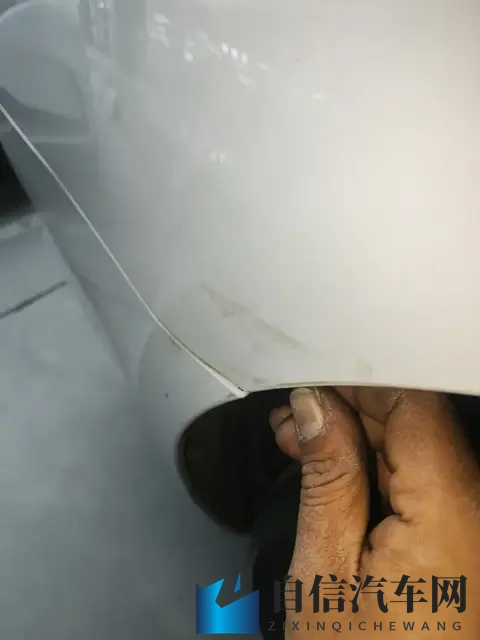 爱情岛vip：浪漫岛屿尊享特权区-2