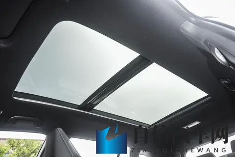 caoporen：新能源汽车巨头崛起，引领出行革命-2