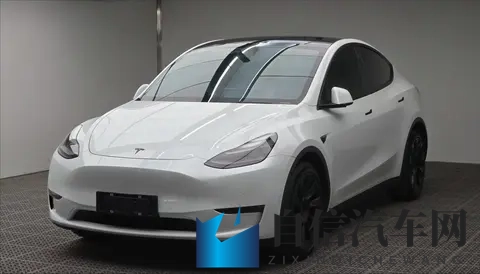 浙江车主喜欢开什么车？吉利还是特斯拉？-3