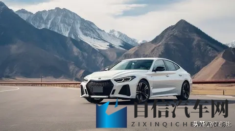 天天爱综合网：每日必看综合资讯平台-2