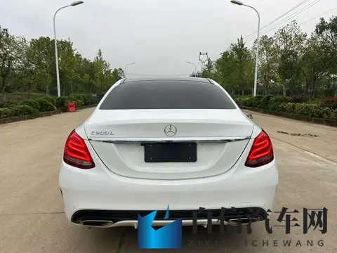 猫咪官网社区:新能源汽车崛起,自动驾驶引领未来趋势-1