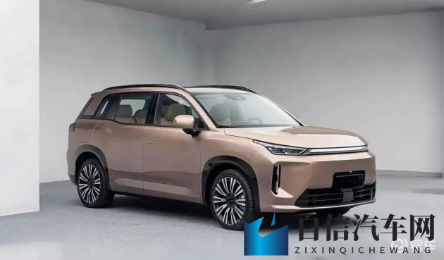 XⅩX性别管：性别管理新探索，制度构建与实施策略-1