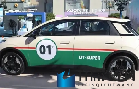 4万多元的京东“国民好车”上市,到底谁会哭晕在厕所-3