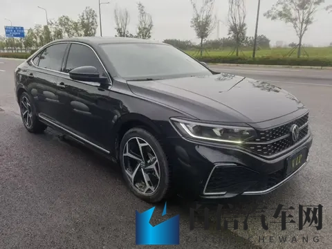 黑人巨大:非洲裔身材魁梧-1