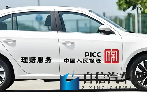 第三十一章秦艳的密林苏明：探险密林新选择：这款汽车助秦艳苏明勇闯难关-2