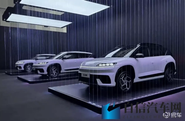 卢珊珊:绿色出行新风尚,她引领潮流-1