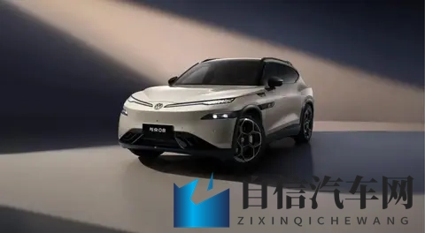 极氪最强80后高管刘展术加盟，“金标大众”拉上小鹏再拼一次-2