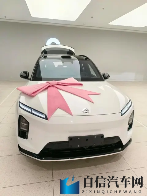 蔚来订单破万，乐道压价抢人，萤火虫悄悄布局-2