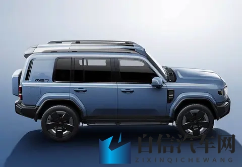 69人妻：探寻69岁妻子不凡人生-2