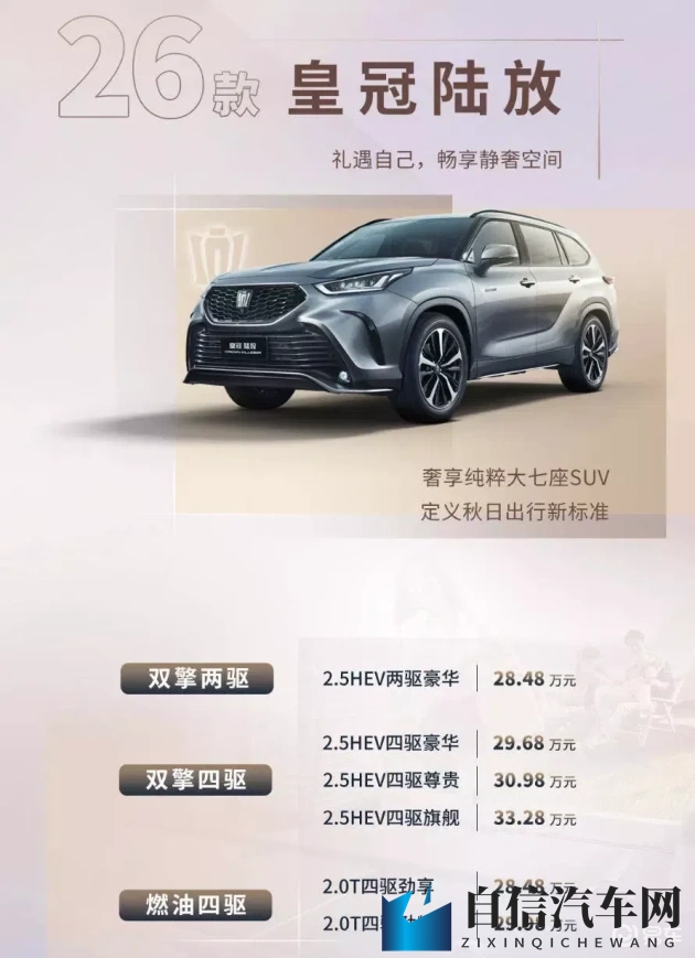 女超人麦乐迪满天星版本：女超人麦乐迪星辉重现版本-2