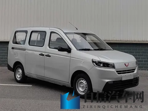 五菱荣光也要大换代了，有点欧系CDV味道，燃油纯电双动力-2