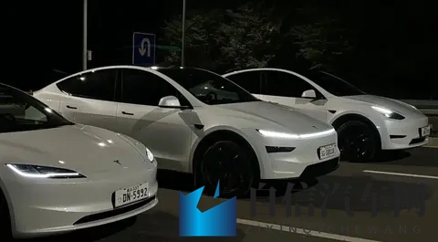 丁香色婷婷：丁香花影婆娑舞动-2