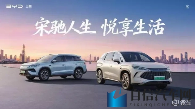 男0被  到爽：男性体验极致愉悦，身心舒畅如浴春风-1