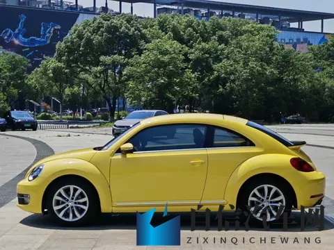 十大黄：炫彩黄色汽车盘点：盘点十大个性超跑-3