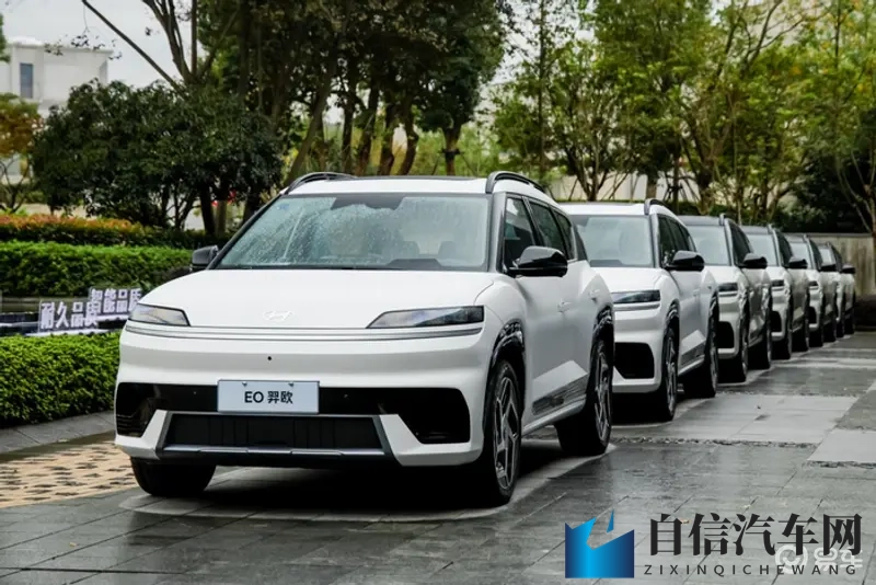 合资电车靠什么逆袭？能开十年的才是好车-1