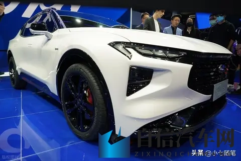 这么漂亮的车，在中国打不开市场，可惜了-3