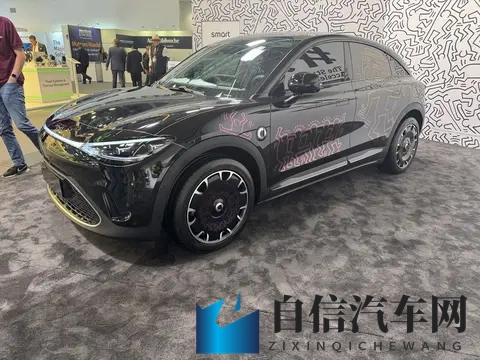 新车｜限1000辆_特殊涂装，smart精灵#3艺术特别版11月20日上市-3