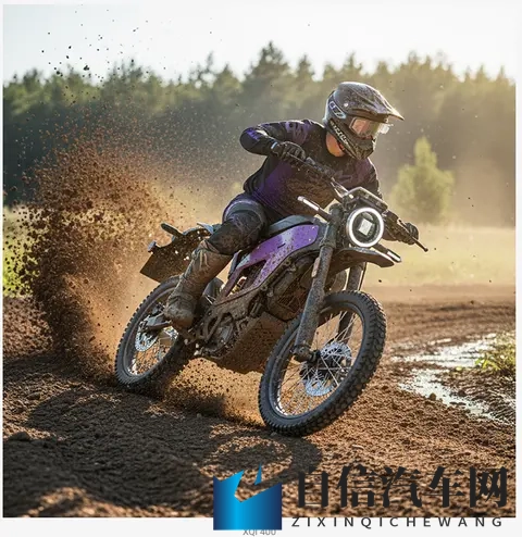 草莓视频站长统计：草莓频道运营数据概览-2