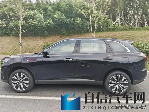 一边亲一边摸：亲密互动，轻抚间传递爱意-2