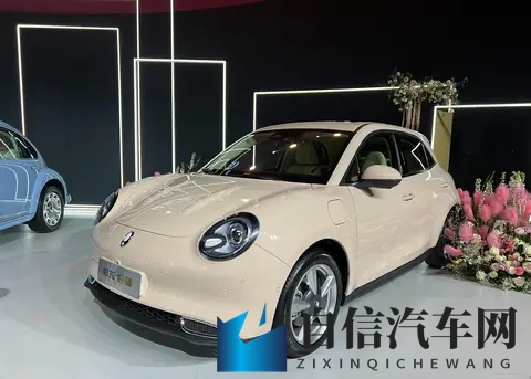 靠欧拉5这款纯电SUV，长城欧拉能不能翻盘？-2