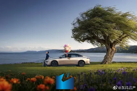 少妇推油：寂寞少妇释放压力，独特按摩手法体验-1