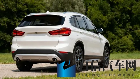 大白话解读宝马X1：家用豪华入门优选-2