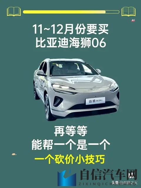 比亚迪离职销冠甩出15条海狮 06 避坑干货​-1