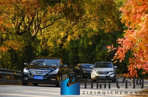 成人aⅴ：成人AV作品精选推荐-1