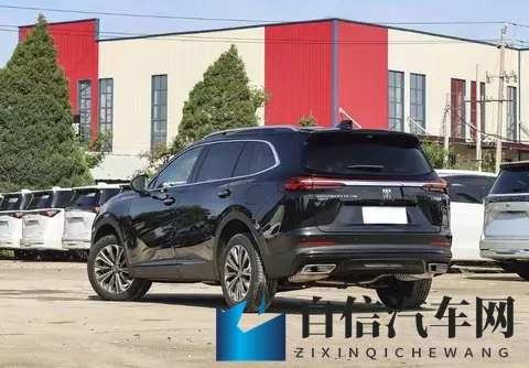 黑人 巨大 迪克 娇小：迷你车型走红，独特设计受青睐-1