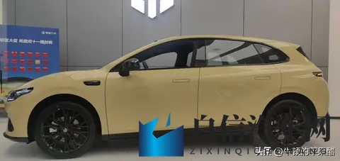 Lafa5-可能是新生代的电动高尔夫-1