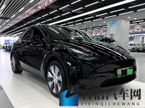 天天干天天舔：新能源汽车发展迅速，车企争相突破技术，未来出行更美好-2